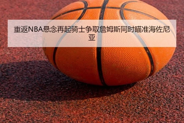 重返NBA悬念再起骑士争取詹姆斯同时瞄准海佐尼亚